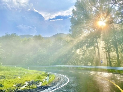 陽光灑在路上