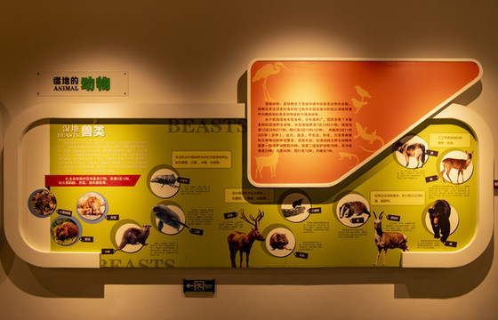 扎龍濕地博物館