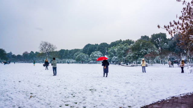 雪景