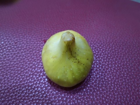 無花果