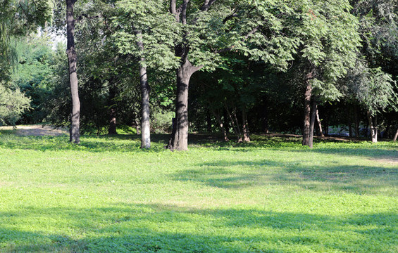 北京將臺(tái)公園風(fēng)光