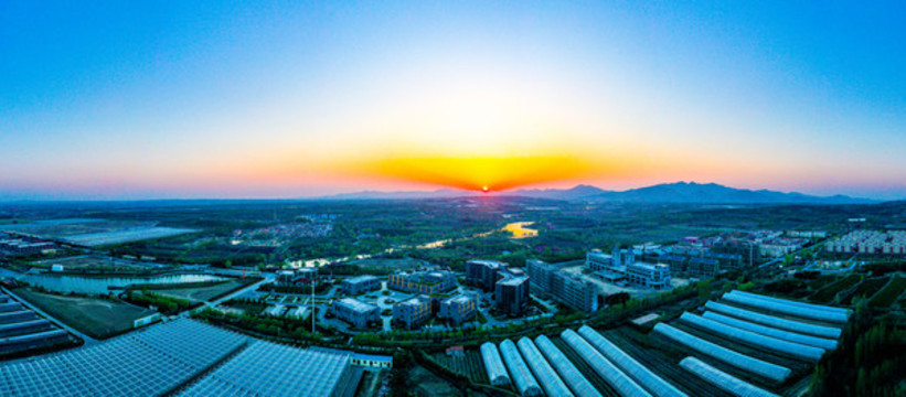 夕陽大棚