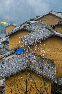 陽(yáng)產(chǎn)土樓