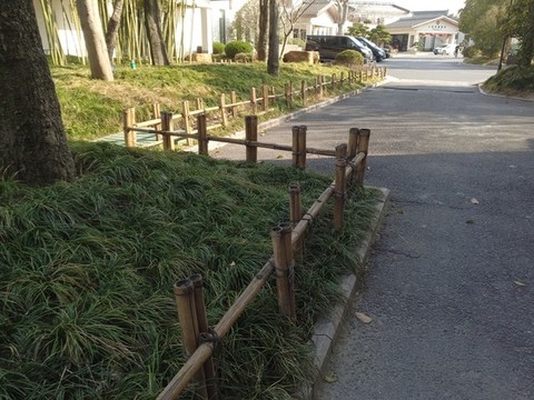 樹池