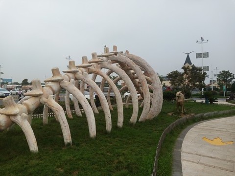 恐龍骨