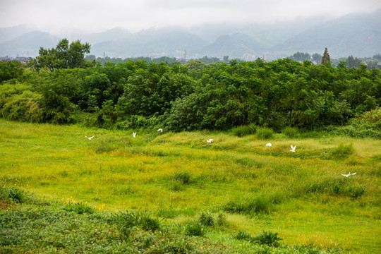 杭州良渚古城遺址公園