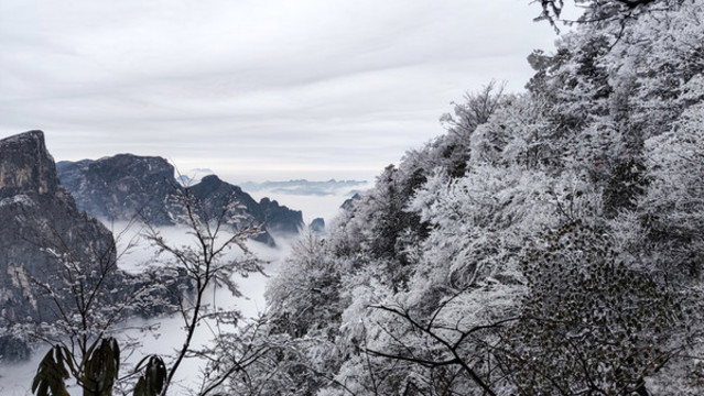 張家界天門山霧凇