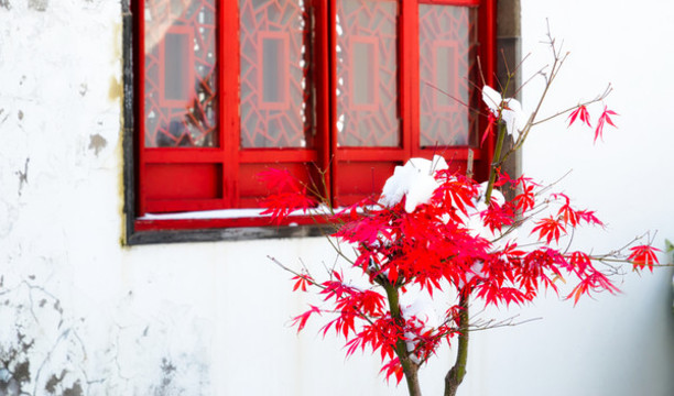 中國紅