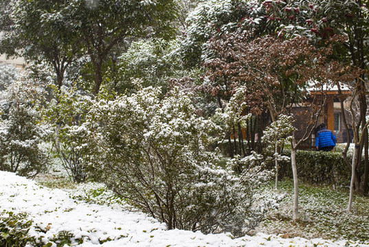 下雪