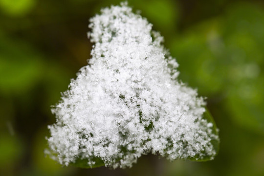 雪景