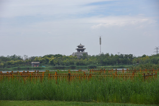 天津西青水西公園生態(tài)建筑風光