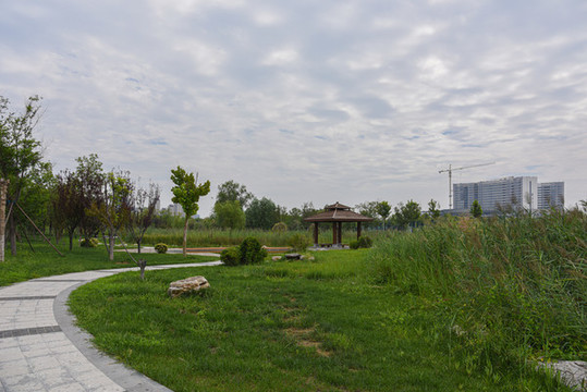 天津西青水西公園生態(tài)建筑風(fēng)光