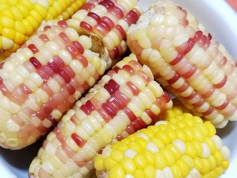 煮玉米