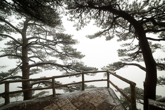 黃山風(fēng)光