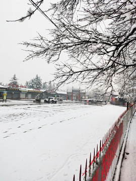 公園雪景