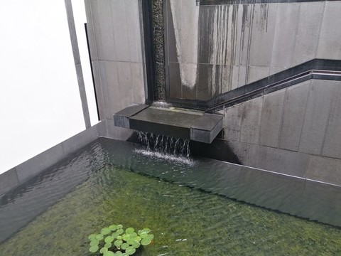蘇博水體