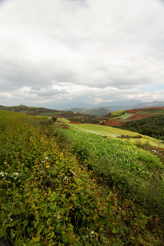 東川紅土地