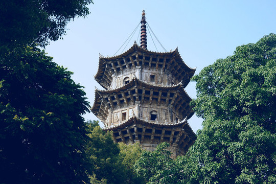 泉州開元寺樹林中的古塔