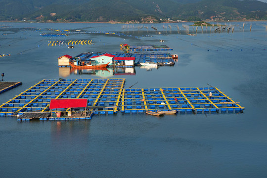 福建霞浦