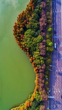 美麗城市公園