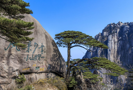 黃山迎客松