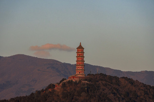 郊野
