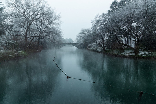 杭州花港觀魚公園雪霽