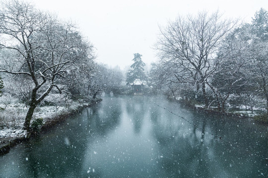 杭州花港觀魚公園雪霽
