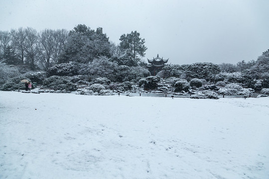 杭州花港觀(guān)魚(yú)公園雪霽