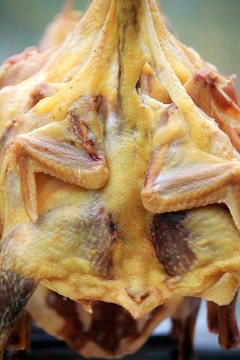 土雞肉