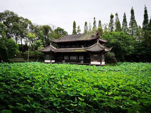 桂湖公園