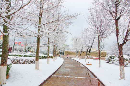 會澤雪景