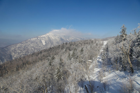 牡丹江雪鄉(xiāng)雪谷雪蘑菇東北旅游