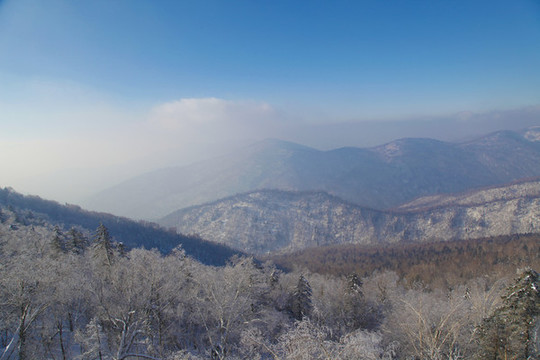 牡丹江雪鄉(xiāng)雪谷雪蘑菇東北旅游