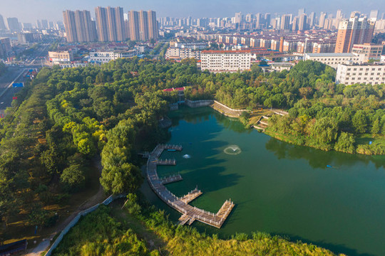 東洲公園初秋漸露生態(tài)美