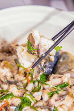生焗魚