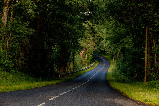 法國林蔭道路