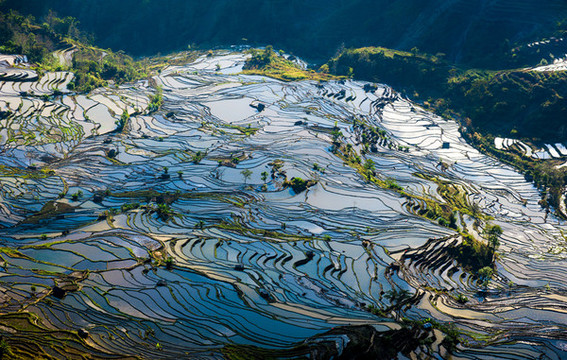 元陽梯田