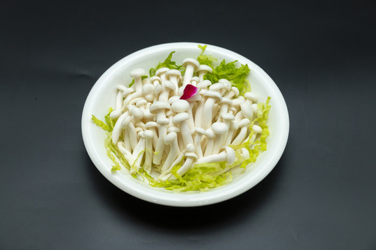 白玉菇