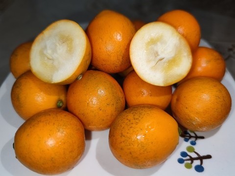 脆皮金桔