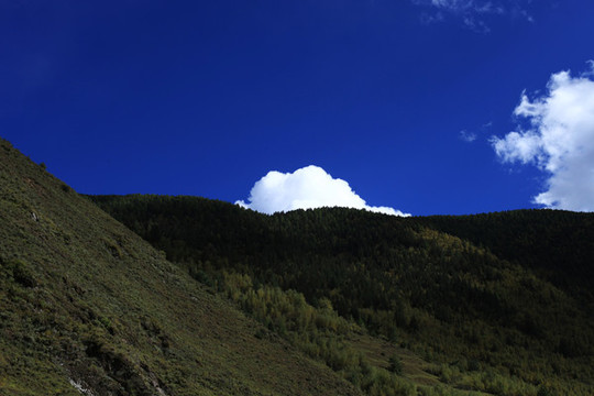 高山流云