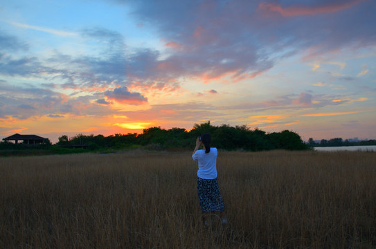 夕陽(yáng)背影