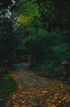 秋天雨后花園里的石板路