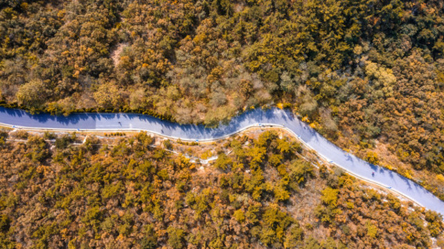 山間公路