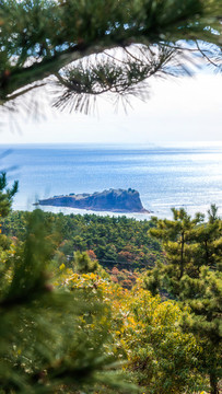大連棒棰島