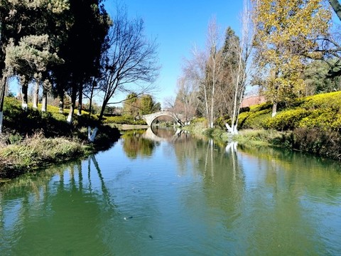 泰豐公園白石江