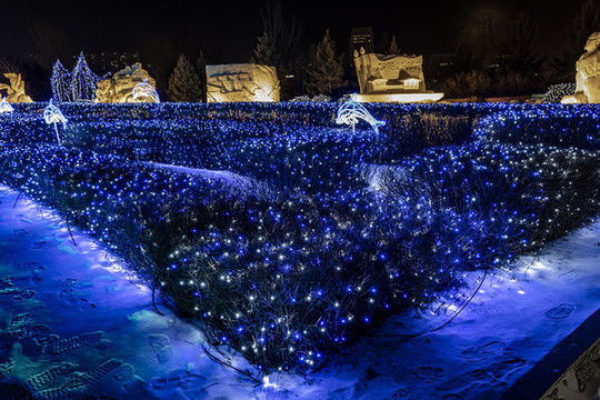 長春世界雕塑公園冰雪樂園夜景
