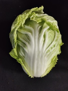 白菜
