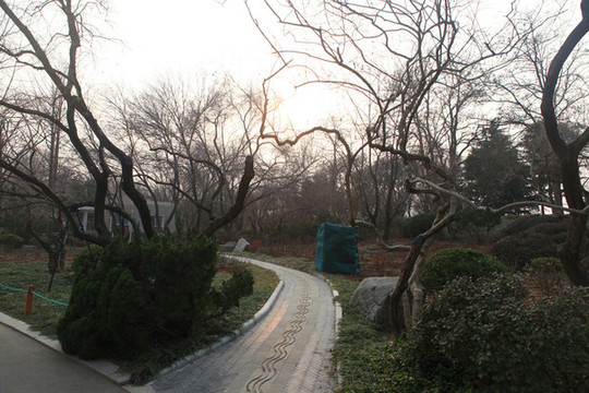 泉城公園風(fēng)光