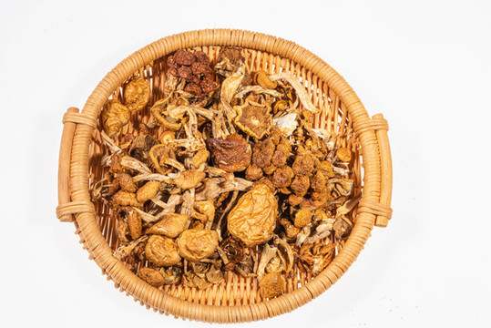 菌類大拼盤
